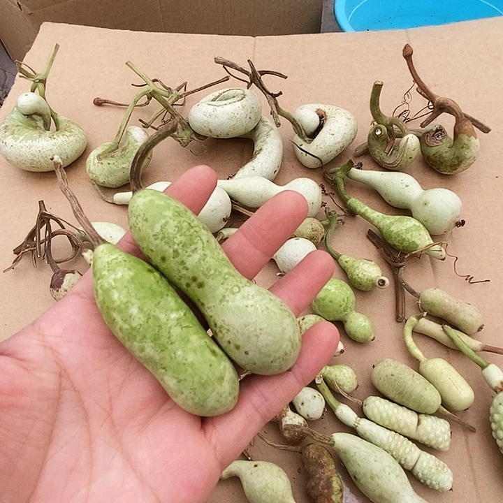 下***吧葫芦山是著名景点之冠