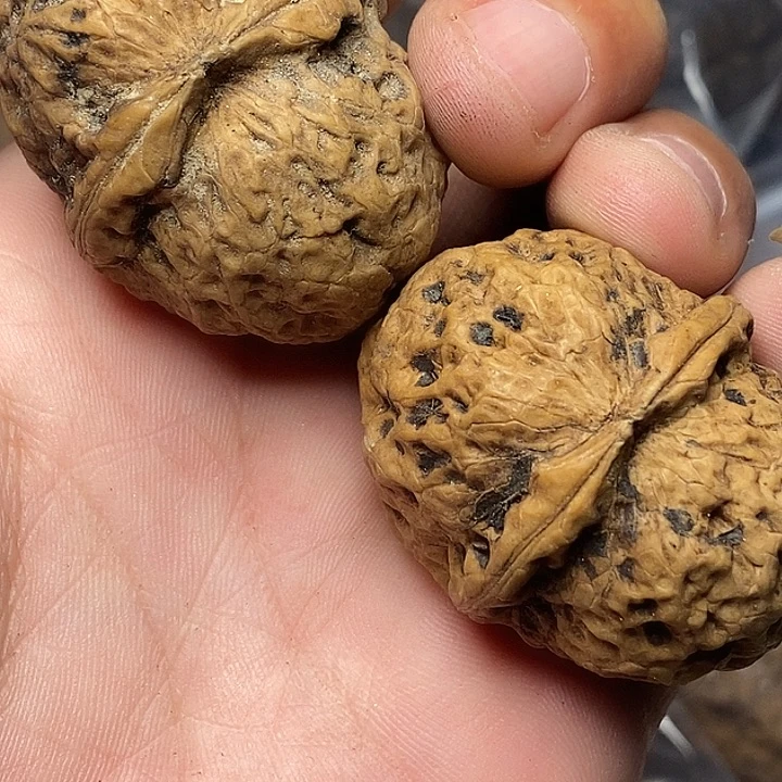 文玩核桃把件志成云铁文玩80