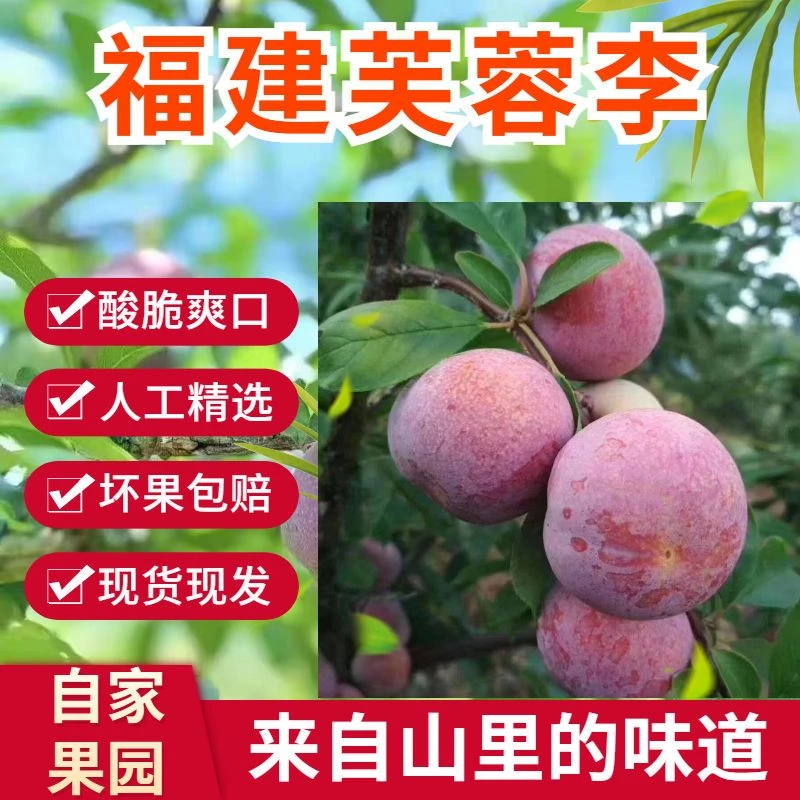顺丰包邮红心三华李芙蓉李新鲜现摘当季水果酸甜口感孕妇优选