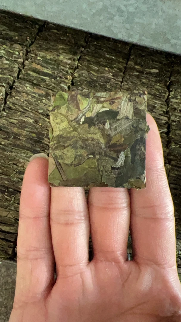 2023年秋寒露寿眉饼干