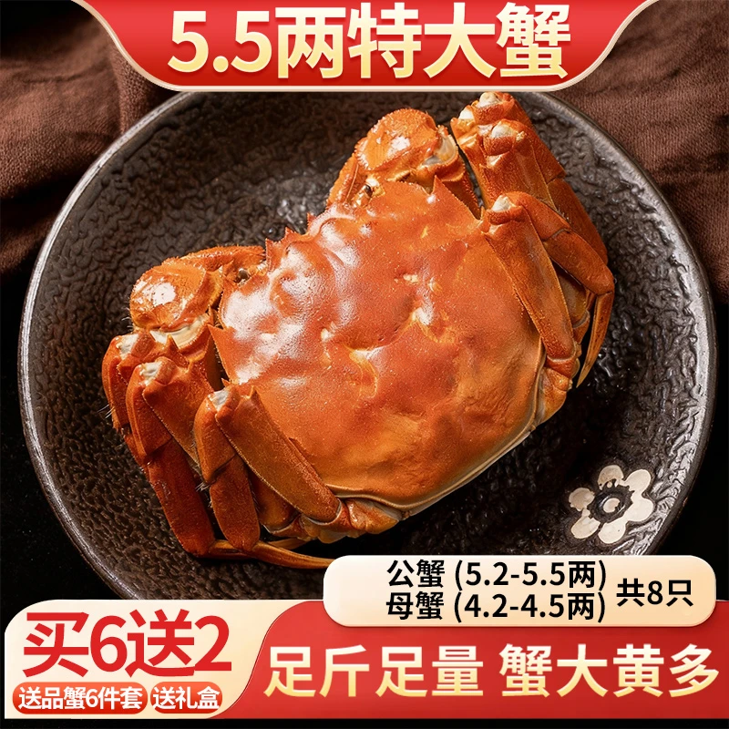 活蟹【金标大闸蟹】公5.5-5.2两母4.5-4.2两 6加2只 共8只 冷链包邮