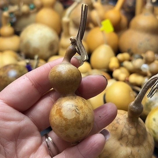 小*葫芦葫芦葫芦葫芦