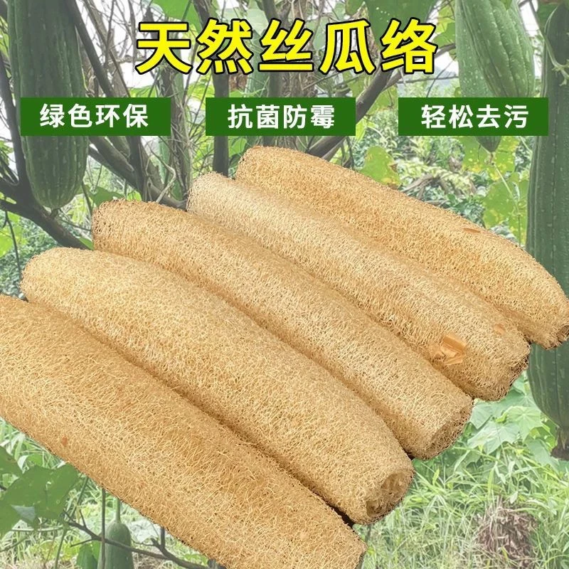 优【丝瓜络】湘西农家种植丝瓜自制丝瓜络天然可洗碗刷锅