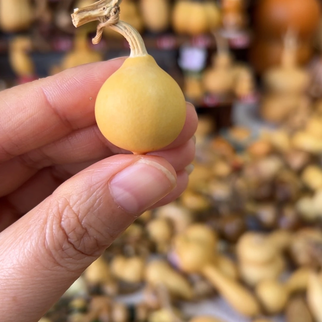 太*泪葫芦娃中姐妹来啦额啦额