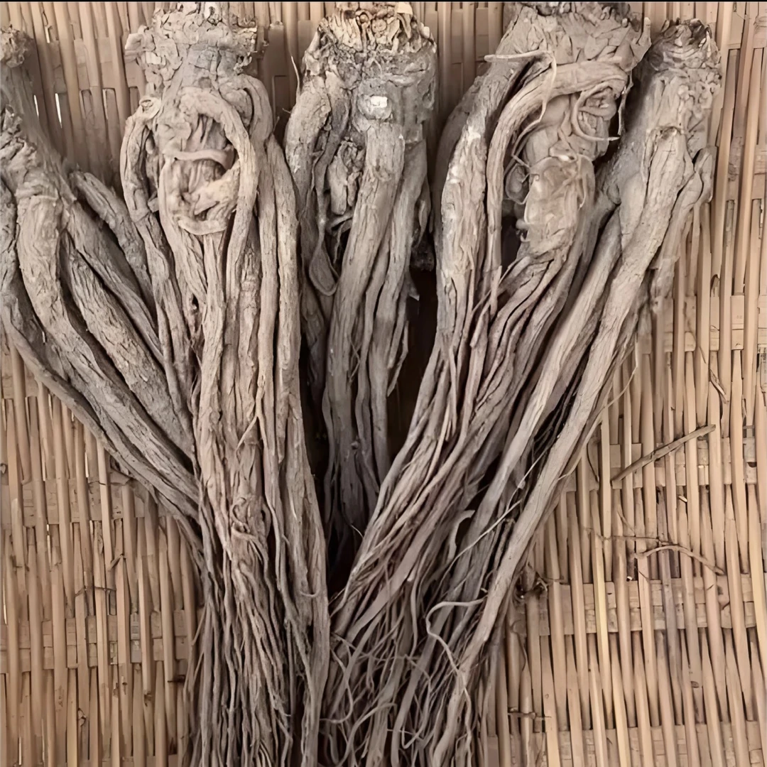 甘肃自家种植当归原条整条不切片不加工无硫熏滋补煲汤养生泡酒