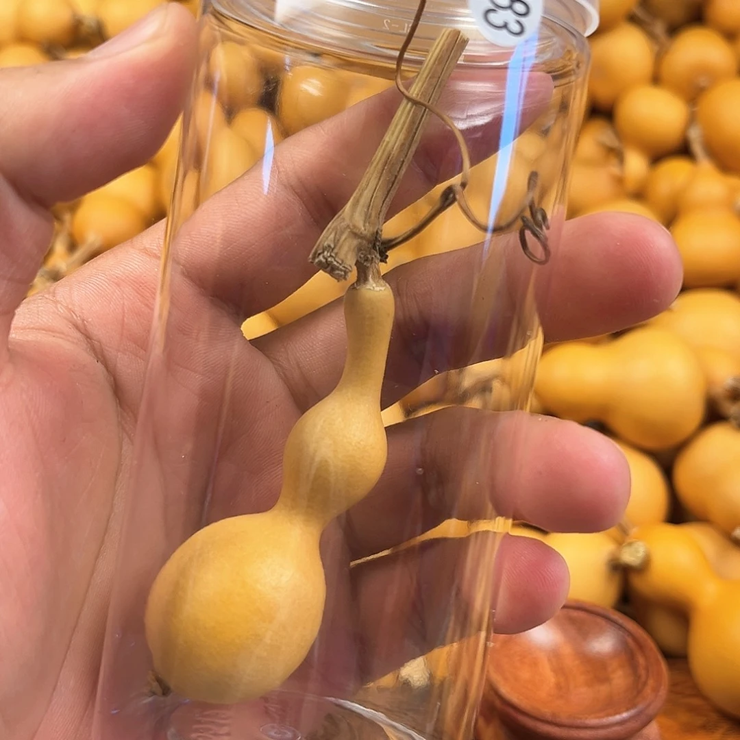 一葫芦葫芦葫芦葫芦283