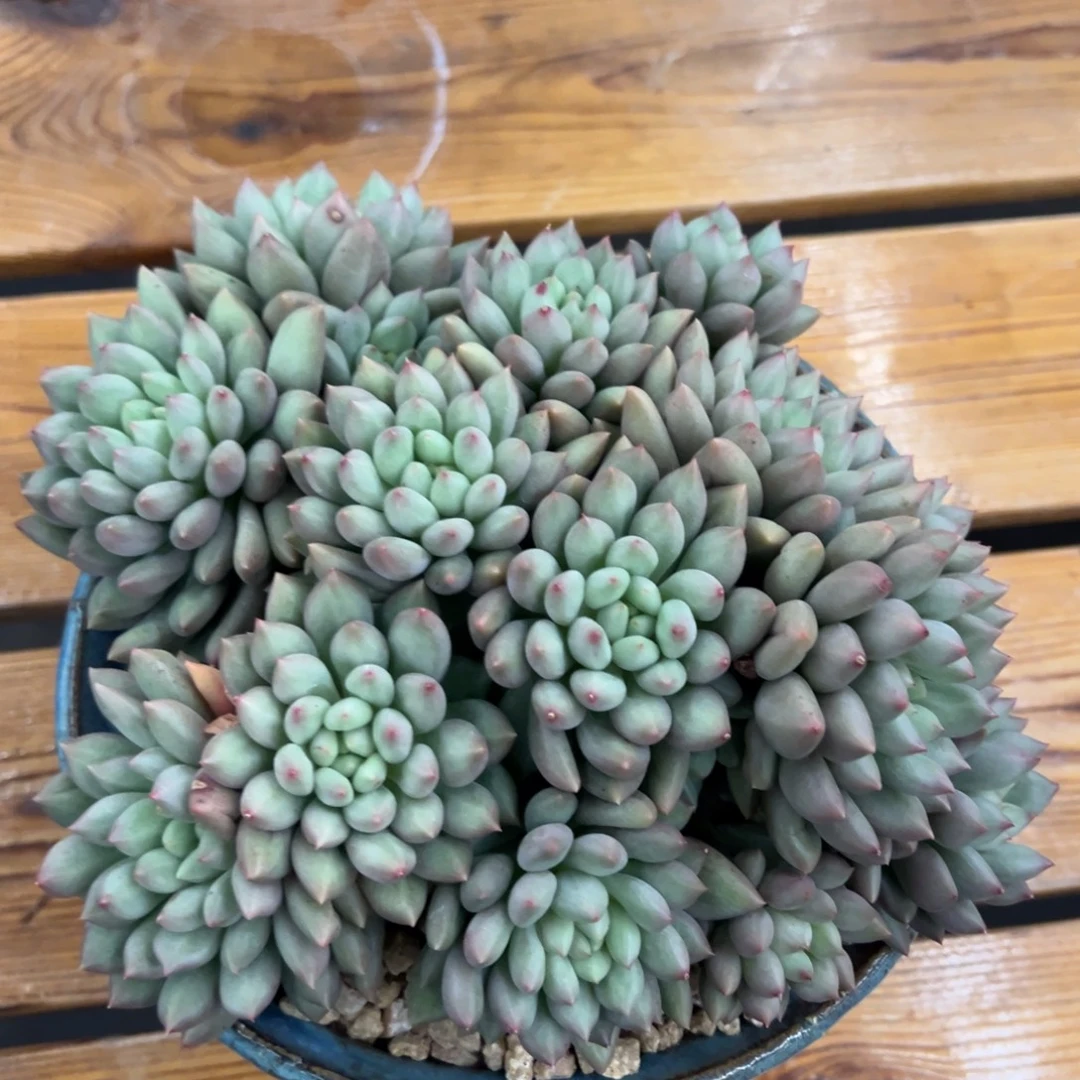 我****岩字~尺寸20公分，