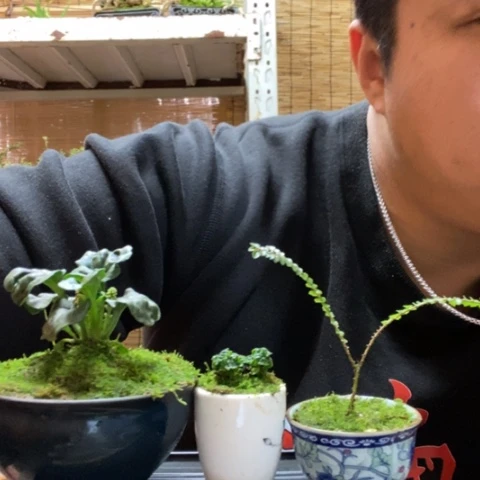 红陶z****u一物一拍所见即所得66