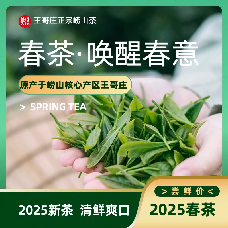 2025春茶崂山绿茶青岛正宗崂山茶豌豆香新茶青岛特产经典清香型