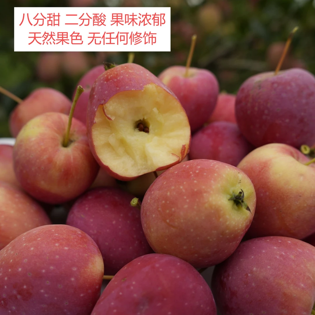 花海小镇鸡心果 果香浓郁 脆甜多汁