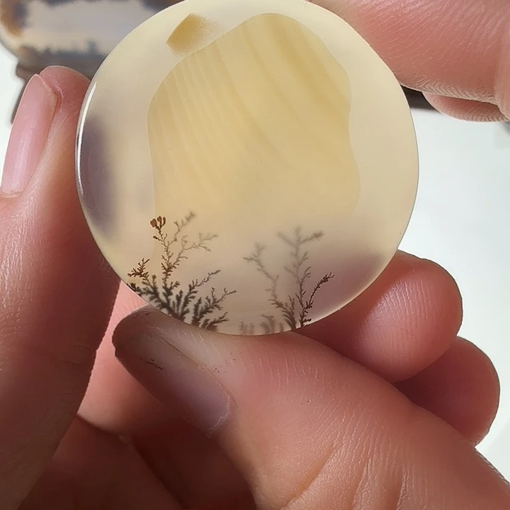 玛瑙/玉髓未镶嵌珠宝半成品