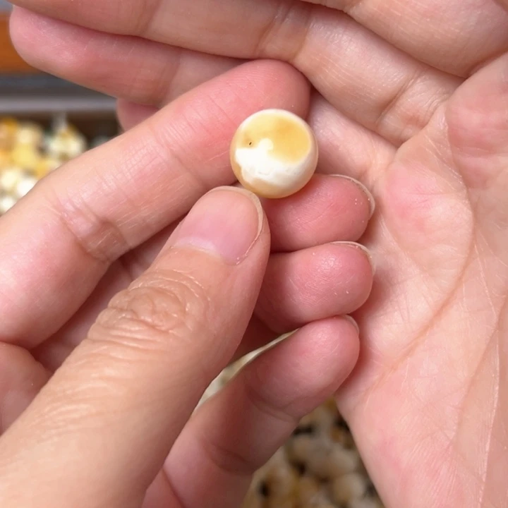 蜜蜡未镶嵌裸石13.4mm一个