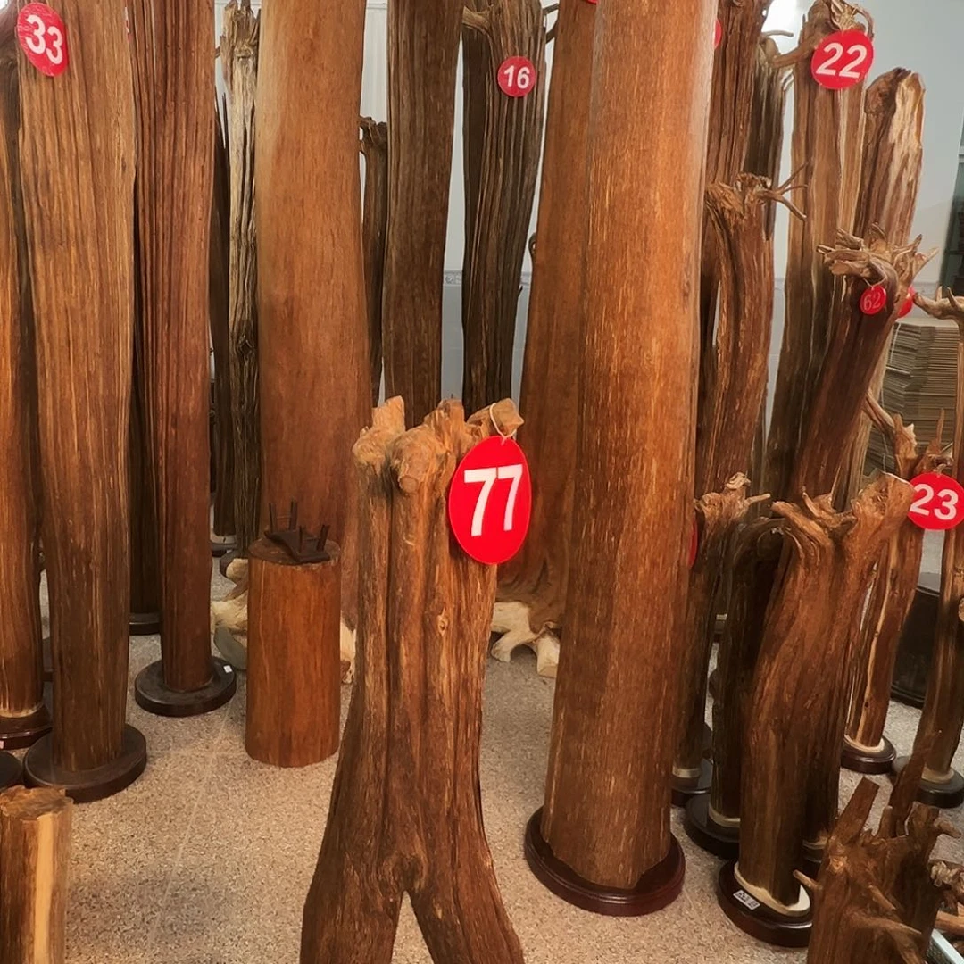 南***馆摆件沉香沉香原料H