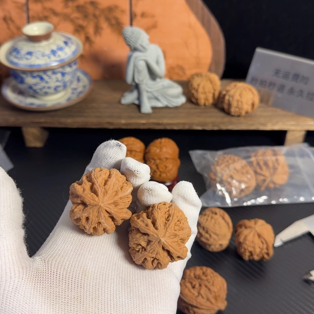38大粗筋白茬哈哈哈