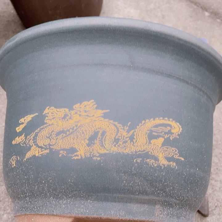 紫砂蓝龙中佳品佳品佳品