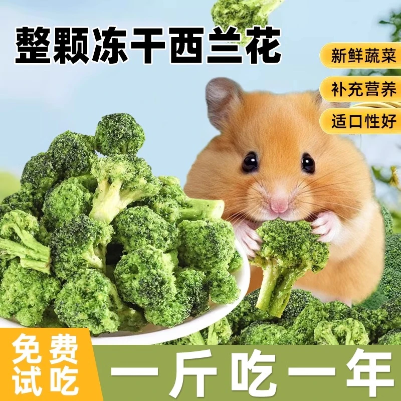 仓鼠冻干西兰花磨牙零食蔬菜干西蓝花龙猫豚鼠蜜鼠拌粮食互动宠物