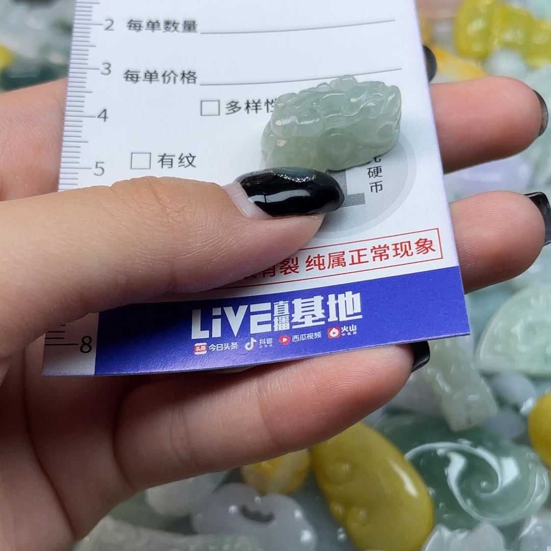 翡翠未镶嵌颈饰1301