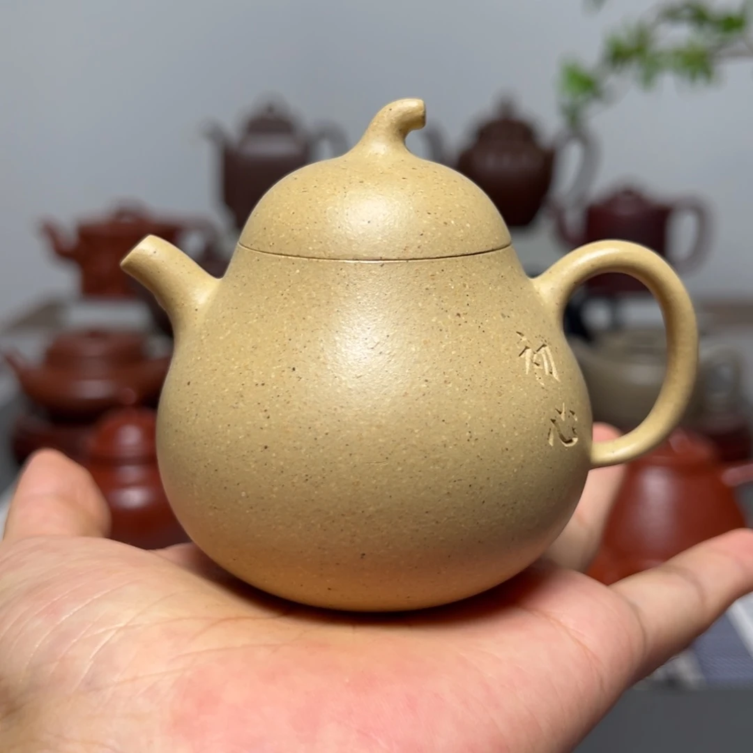 茶壶紫砂100cc 本山绿 茄瓜 特惠