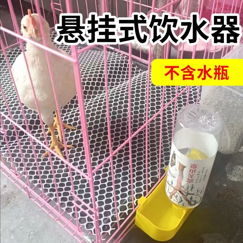 鸽子饮水盒挂式设计小鸟饮水器自动养殖水槽鹦鹉食盒