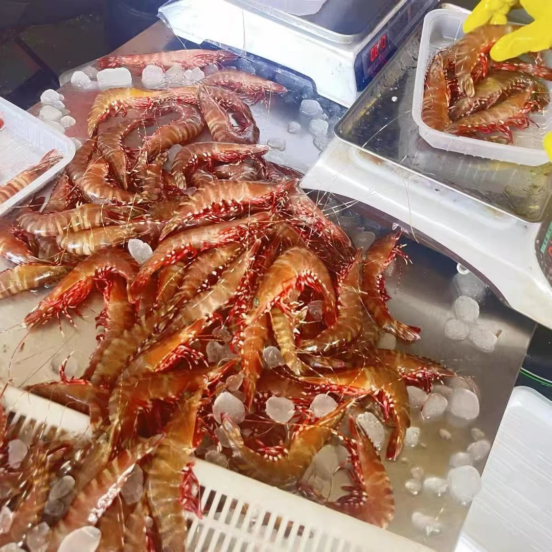 L青岛野生大号红爪虾，花虎虾1斤17-20只，试吃一斤到手两斤净重