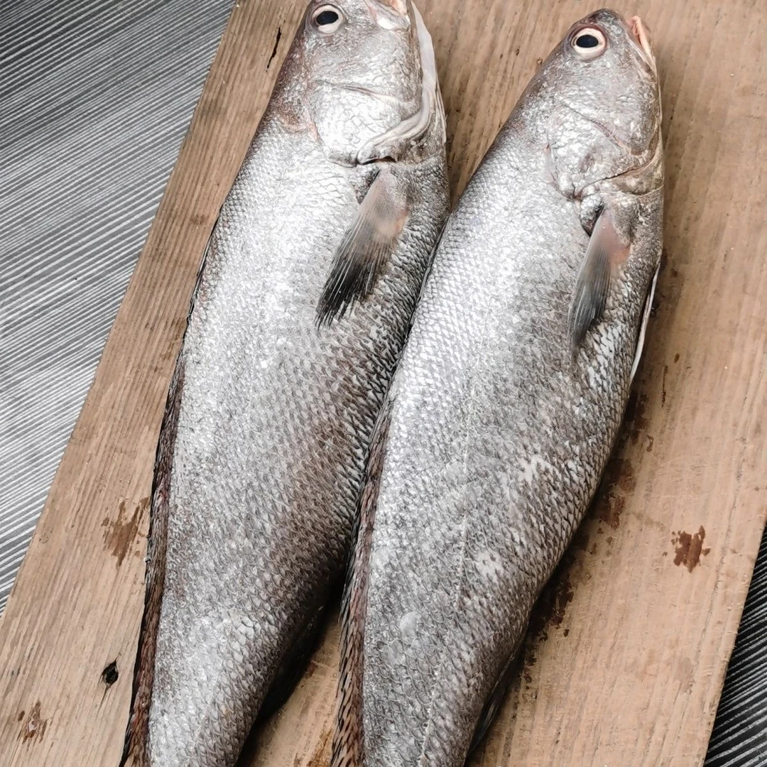 【京东冷链】新鲜鳘鱼去头去内脏速冻发货一斤5-8条肉质鲜嫩