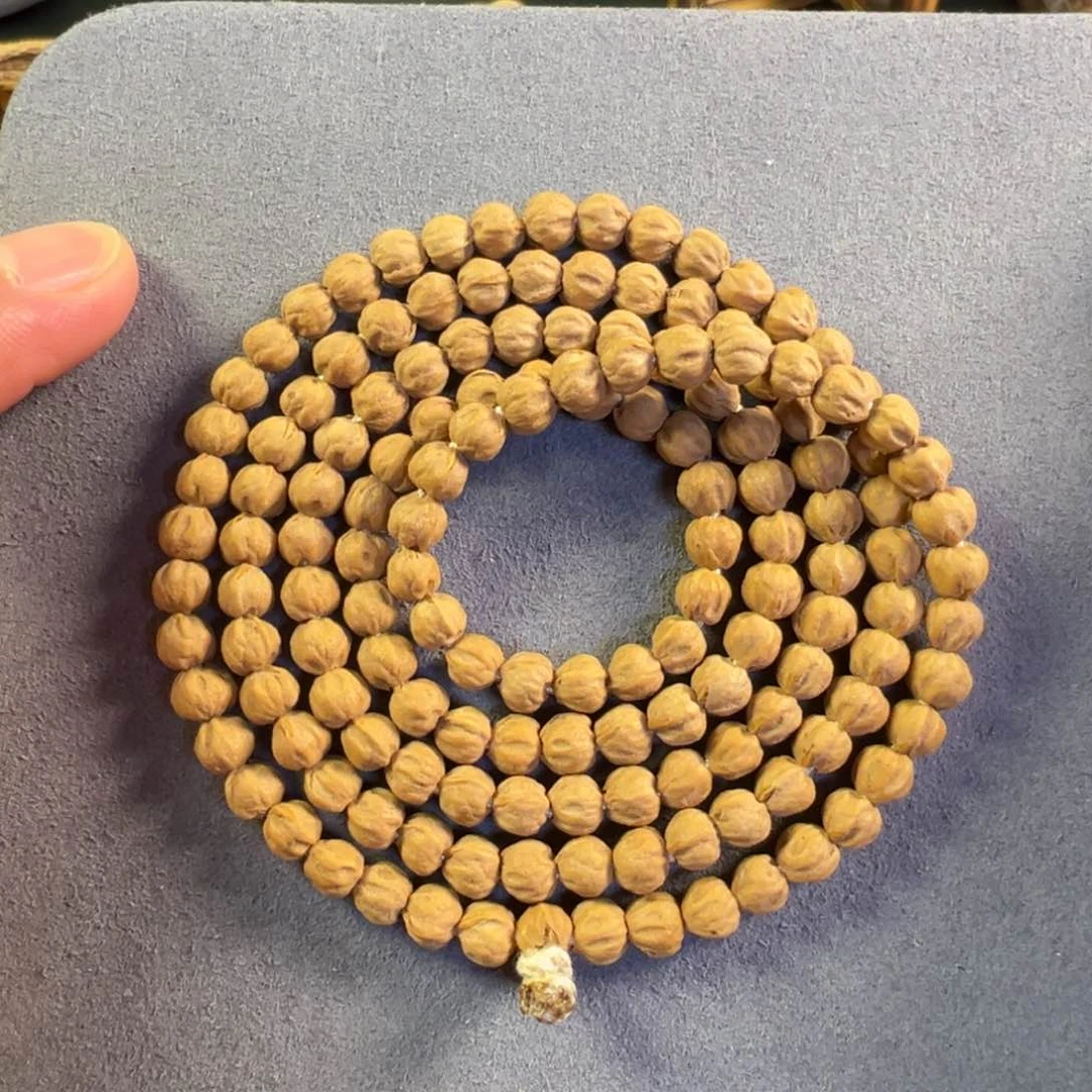 【闪购商品】吊坠柏香籽/百香籽热振原装大金豆4号