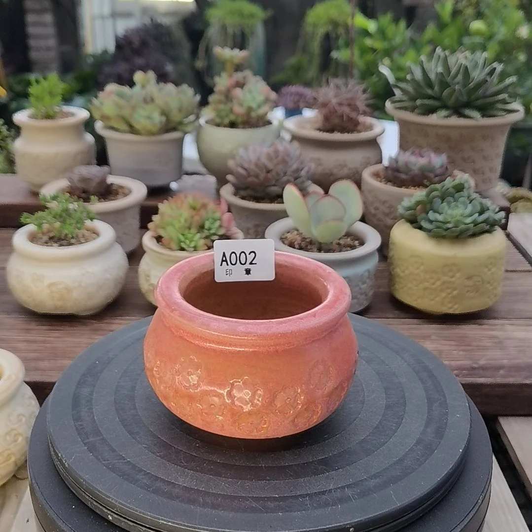 印章多肉花盆A002