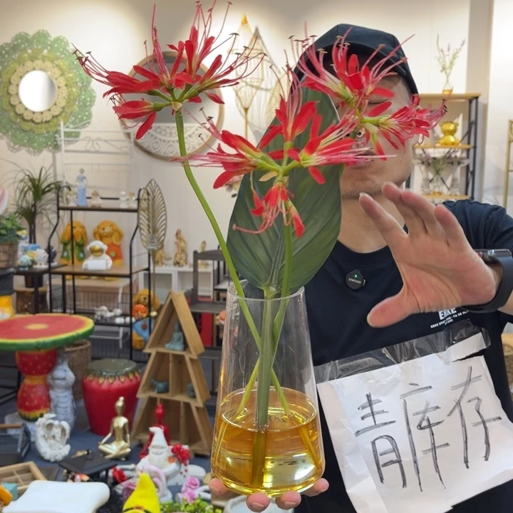 摆件哈哈哈哈哈哈哈哈