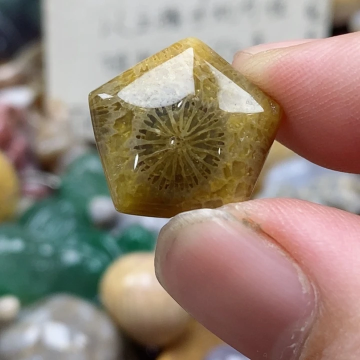 硅化珊瑚（珊瑚玉）未镶嵌颈饰y****