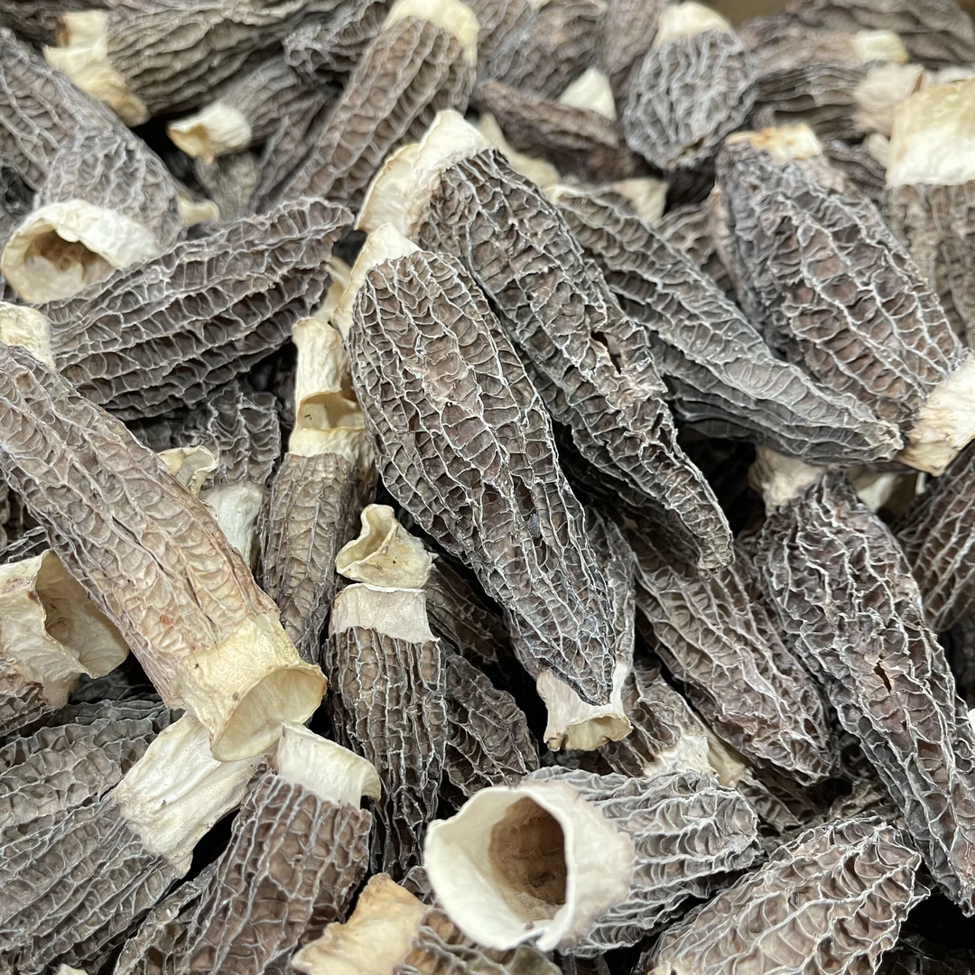 【赵麻麻精选】头茬羊肚菌（特大）