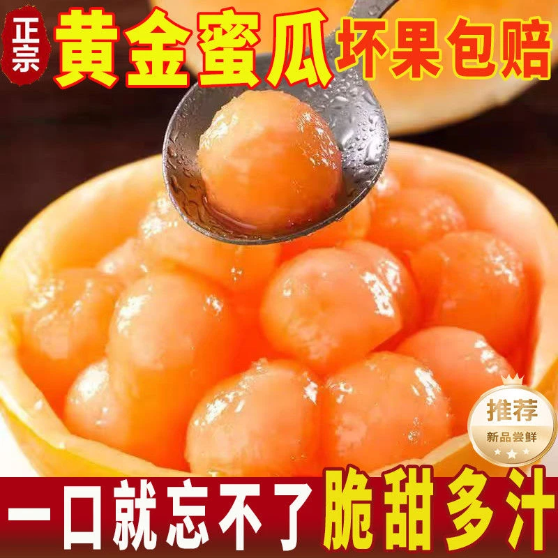 黄河蜜甜瓜新鲜水果应季当季整箱包邮黄金脆甜香瓜蜜瓜