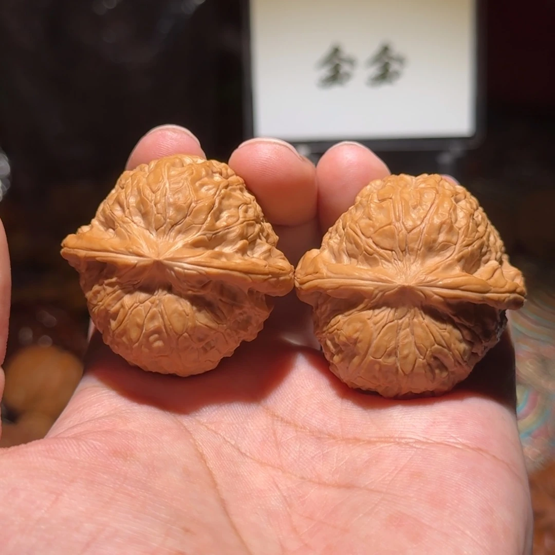 核桃把件299南瓜墩，尺寸44