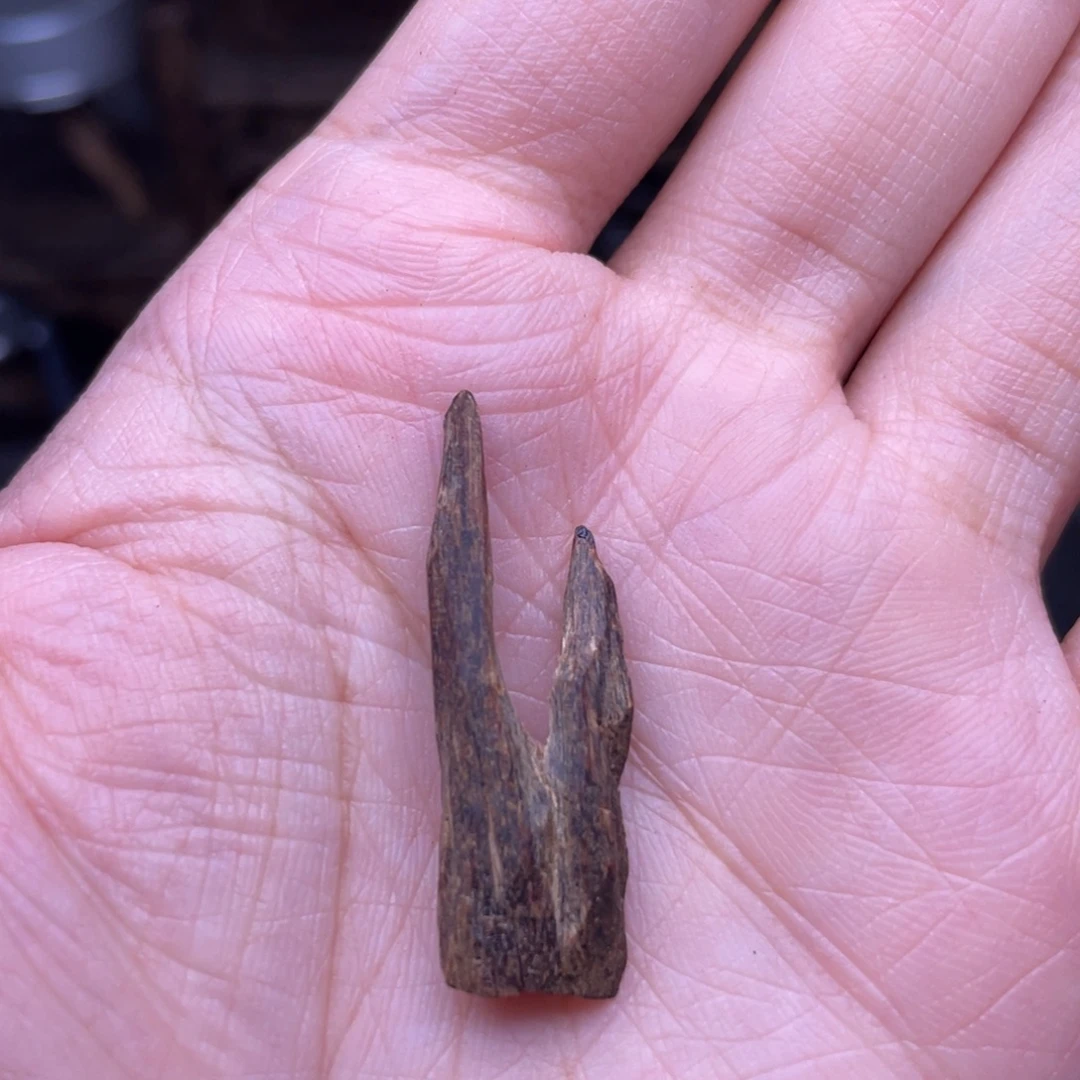 香榧木海南沉水树心油0.8克