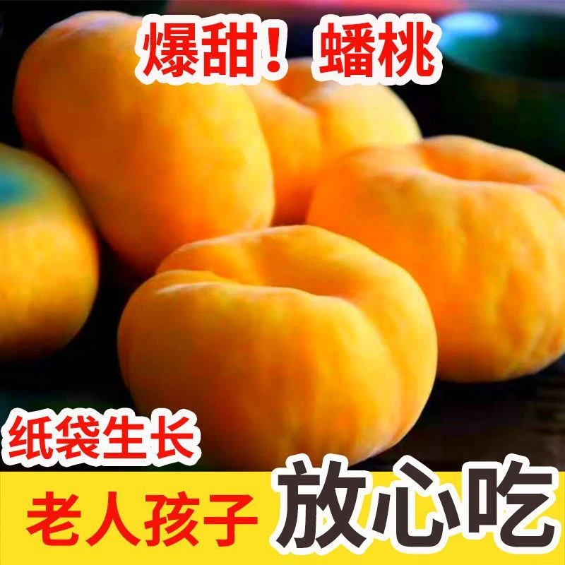 彩虹毛蟠桃，现摘现发黄金毛蟠桃软硬两吃纯甜水果