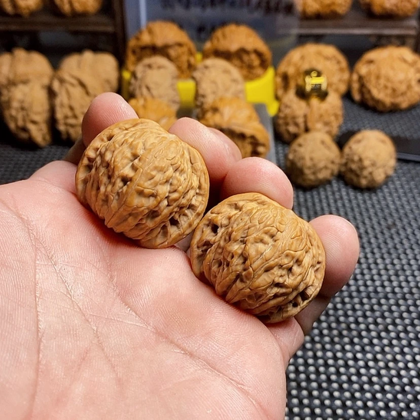 【闪购商品】文玩核桃吊坠莫**石精品课程的教学与研究