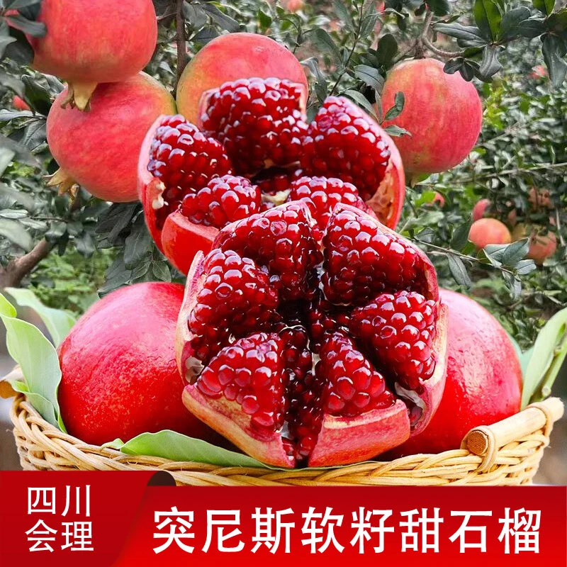 四川会理突尼斯软籽石榴 当季新鲜孕妇水果 无籽甜石榴不吐籽现摘