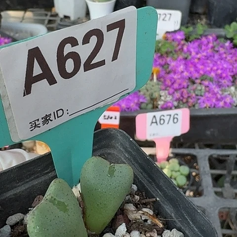 627中央音乐学院哟哦