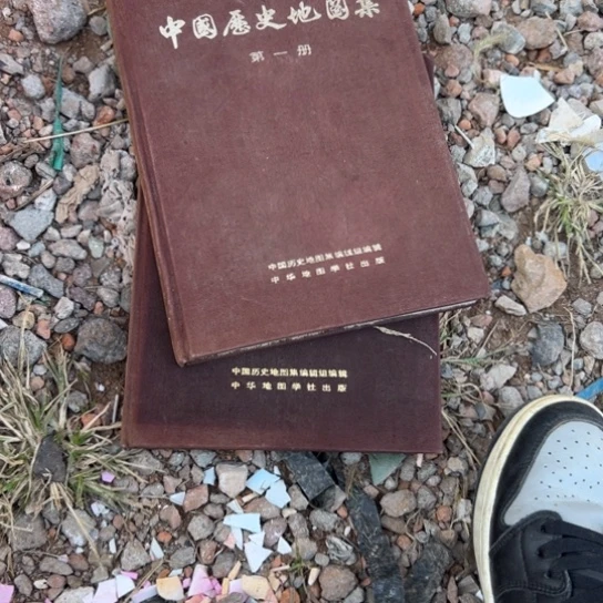澄***林杂色豆（科檀/科特迪瓦檀木）