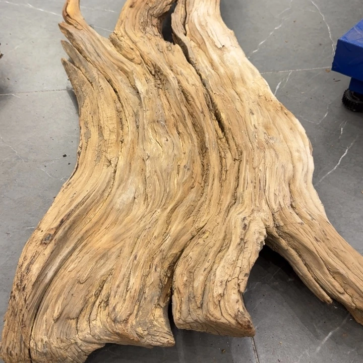 斋***笑香榧木崖柏啊啊啊啊呃