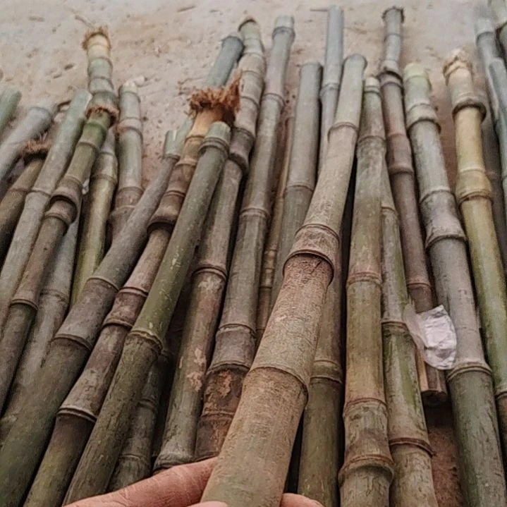 和***）嫡嫡道道对对对对啊