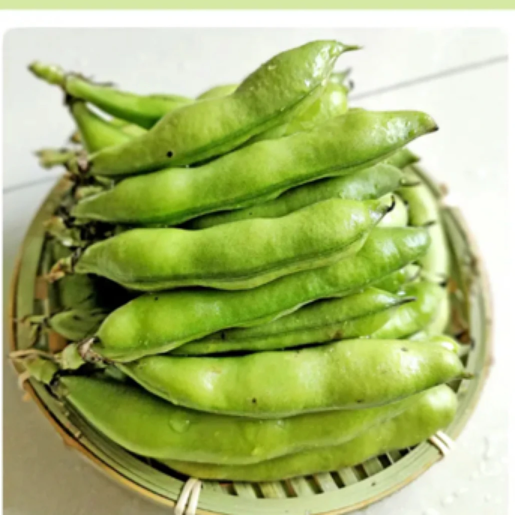 新鲜蚕豆农家带壳生罗汉豆绿皮嫩胡豆蔬菜