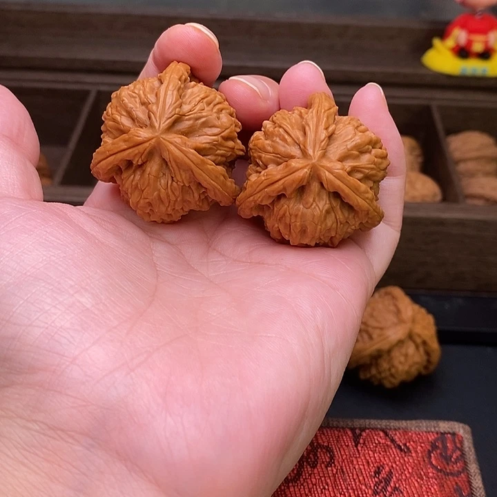 红***火把件文玩核桃白奔