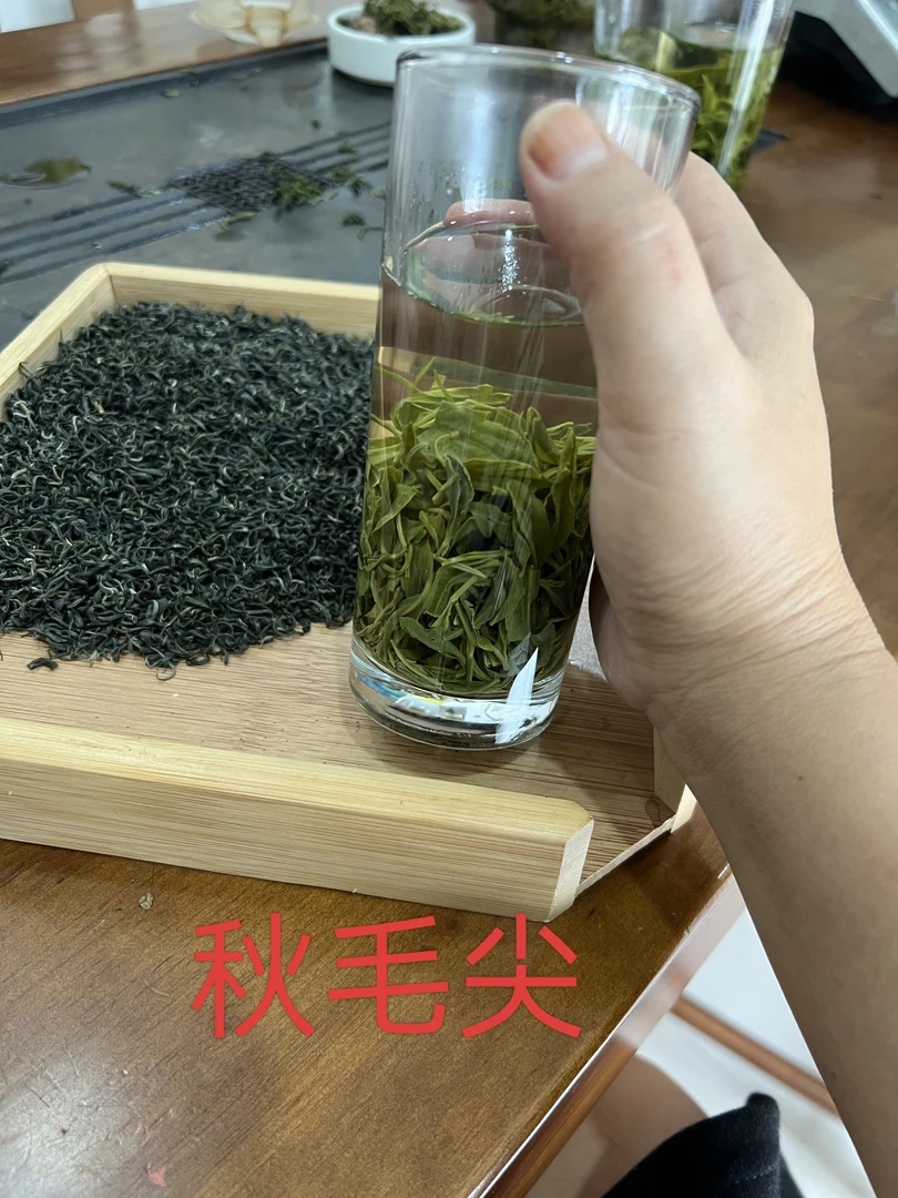 湖北南漳高山绿茶秋茶