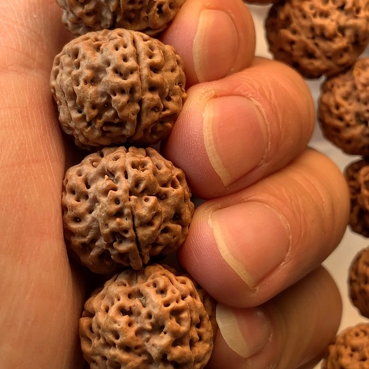 吊坠金刚菩提5瓣20等我双龙
