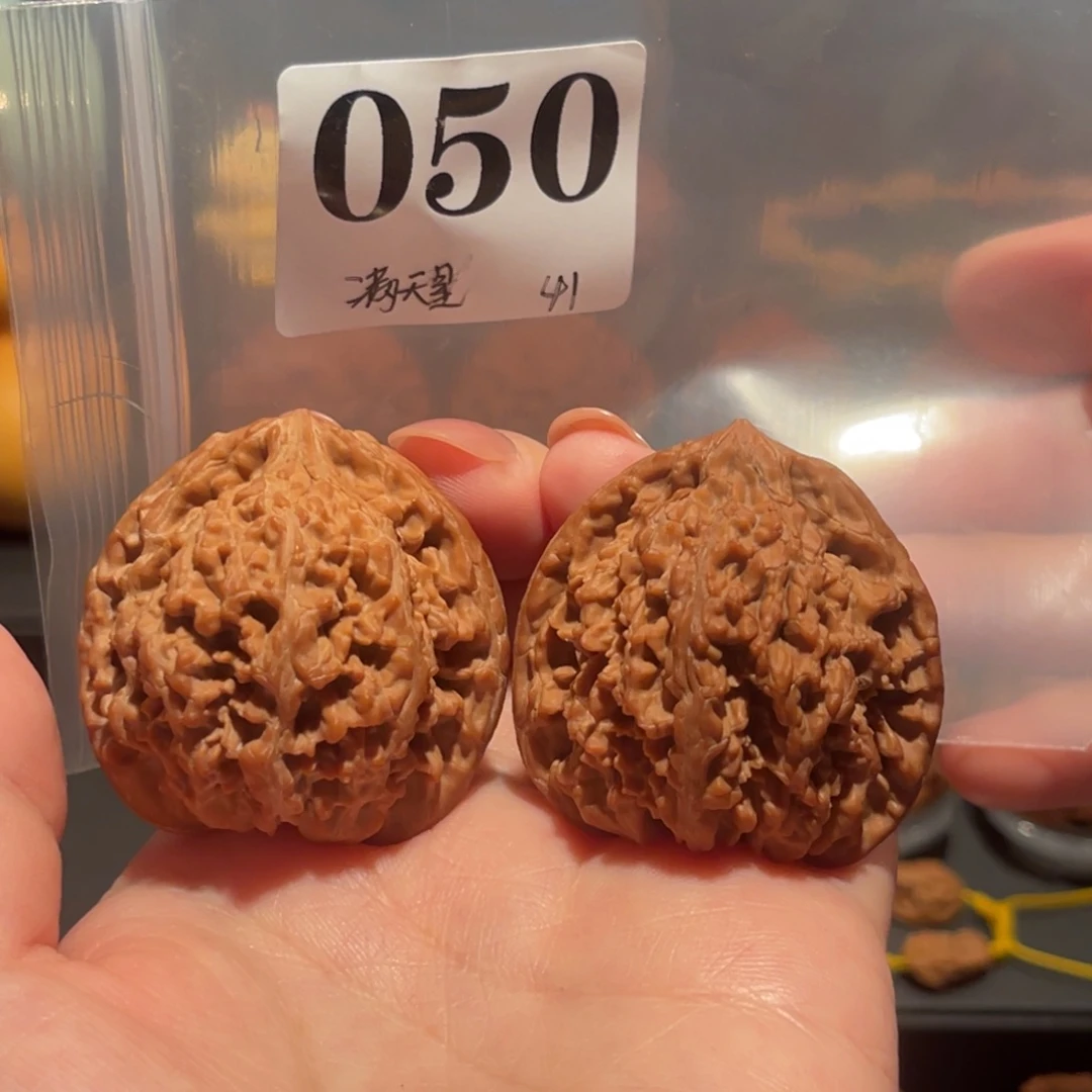 满天星41精品，货头全品
