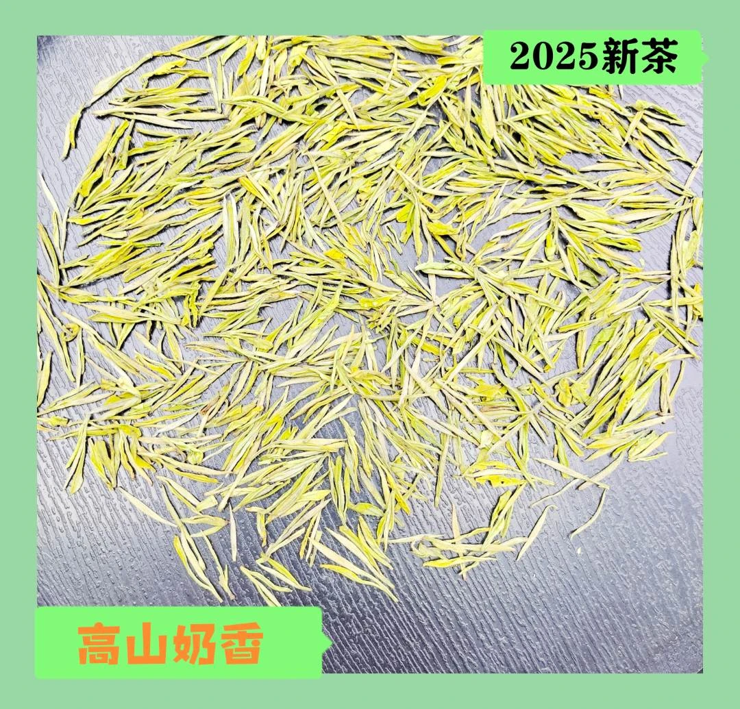 【昆铜高山奶香--N358】2025新茶 安吉原产地 奶香醇厚