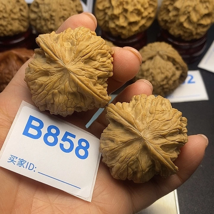 核桃磨盘4.4，山地果