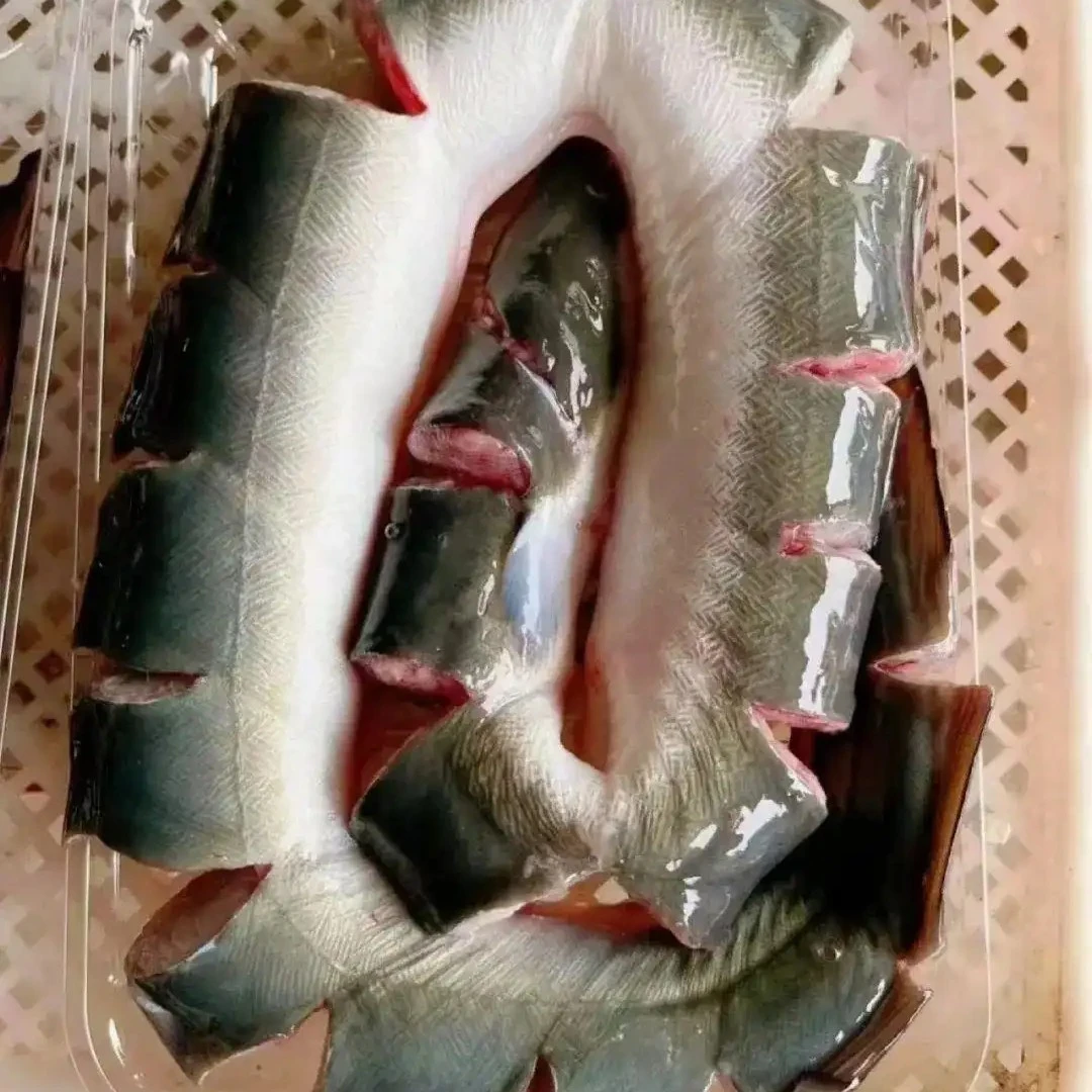 野生鳗鱼直播间改价格链接