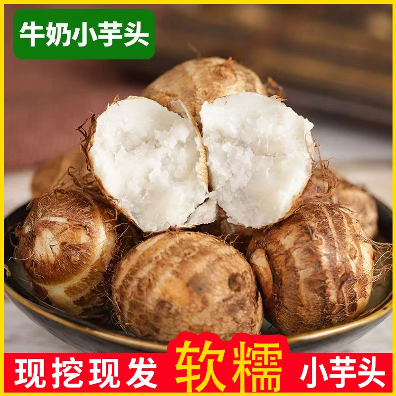 云南牛奶小芋头芋艿软糯香甜现挖现发原生态农家蔬菜代餐宝宝辅食
