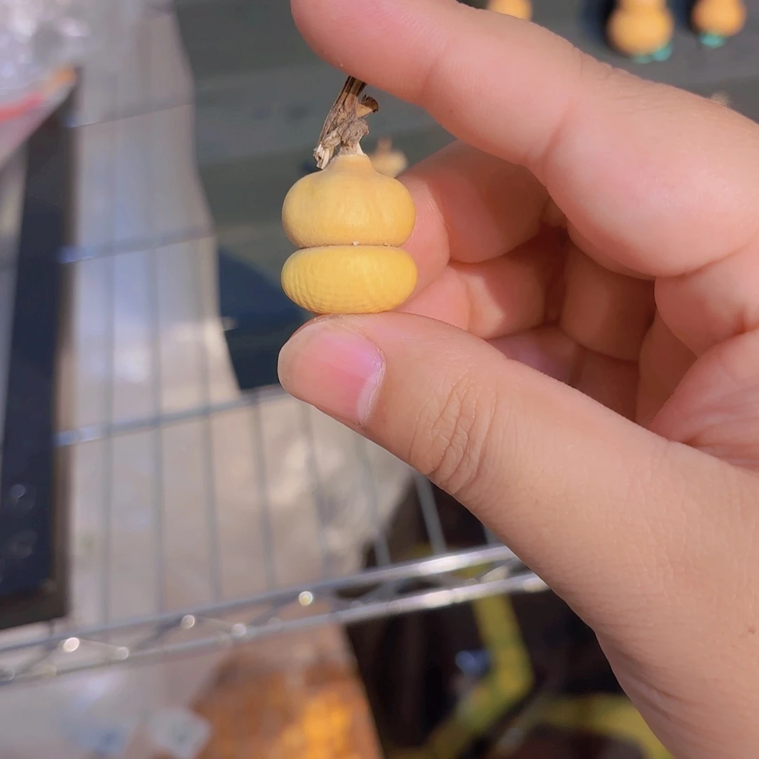 A****哈哈哈哈哈哈哈哈哈哈哈哈